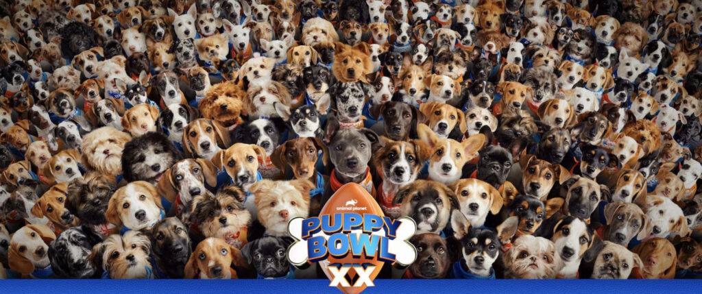 Team Ruff wins the Puppy Bowl XX
