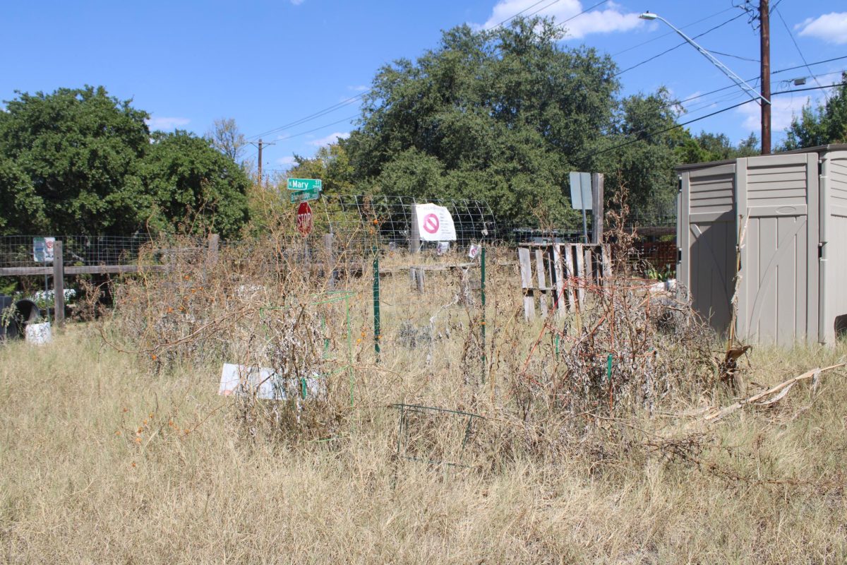 Lively Gardens in October 2024